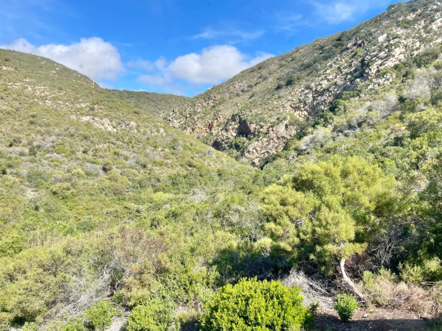 3 Bedroom Property for Sale in Island View Western Cape